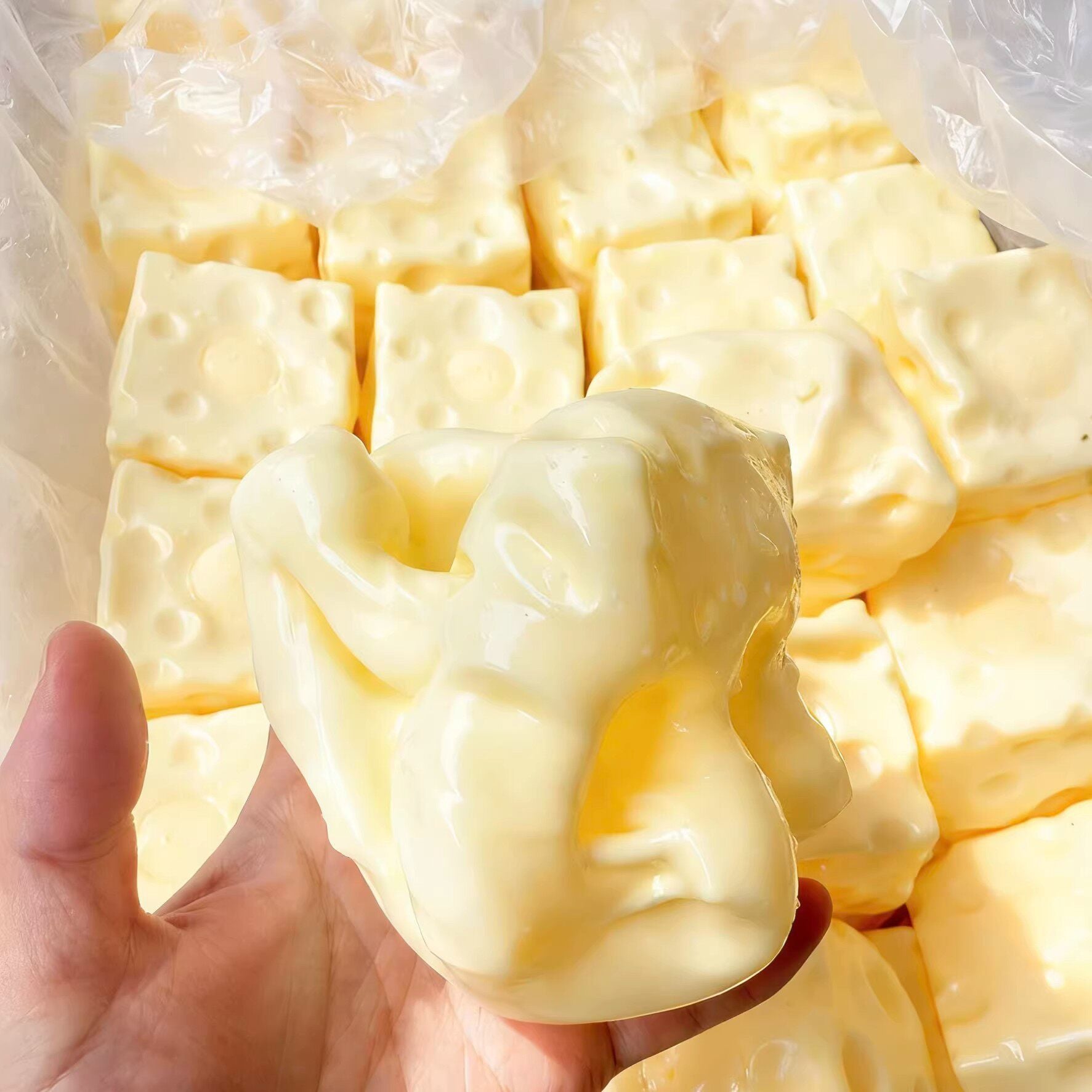 Cheese Squeeze Stress Relief Toy