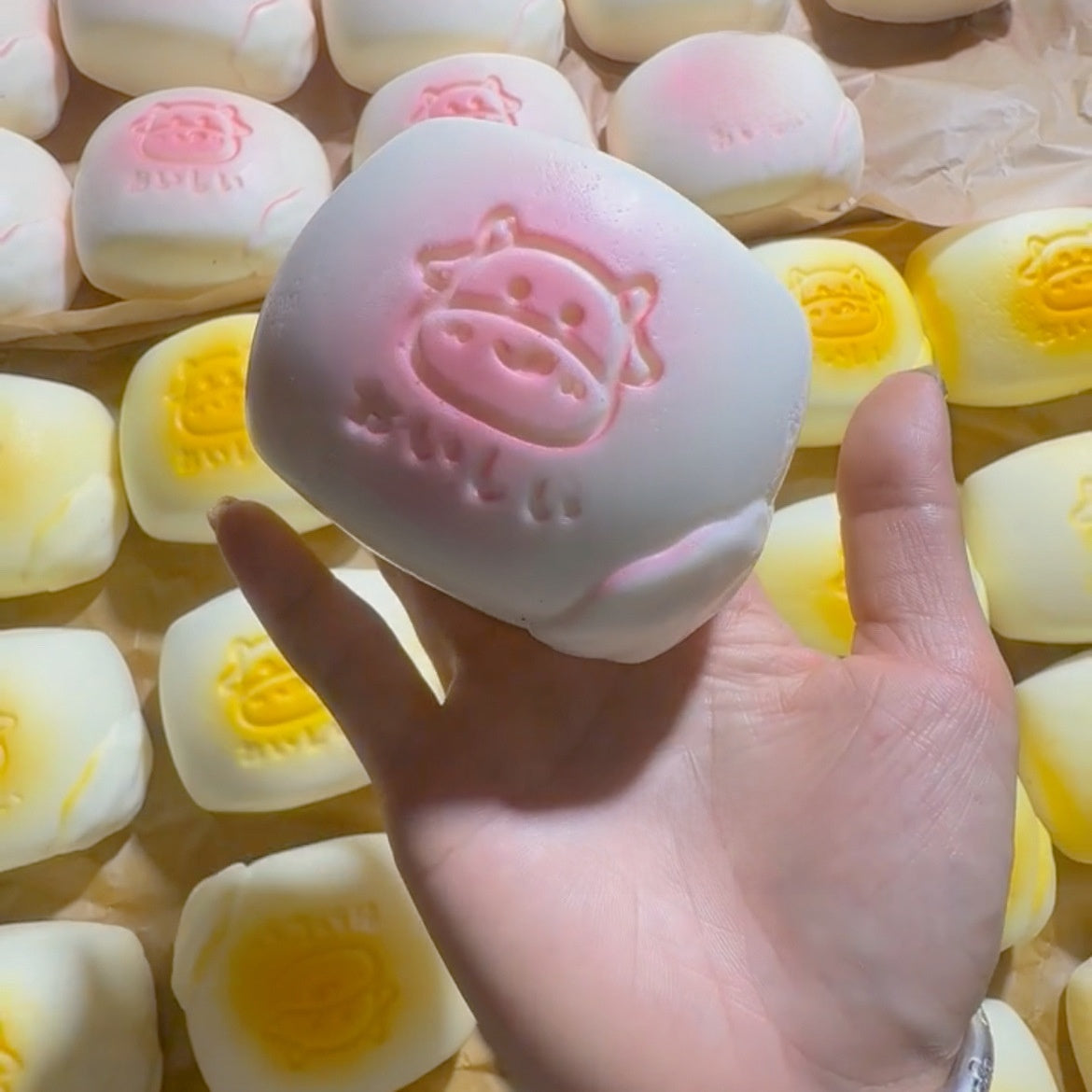 Soft Slow Rebound Stress Relief Squeeze Toy